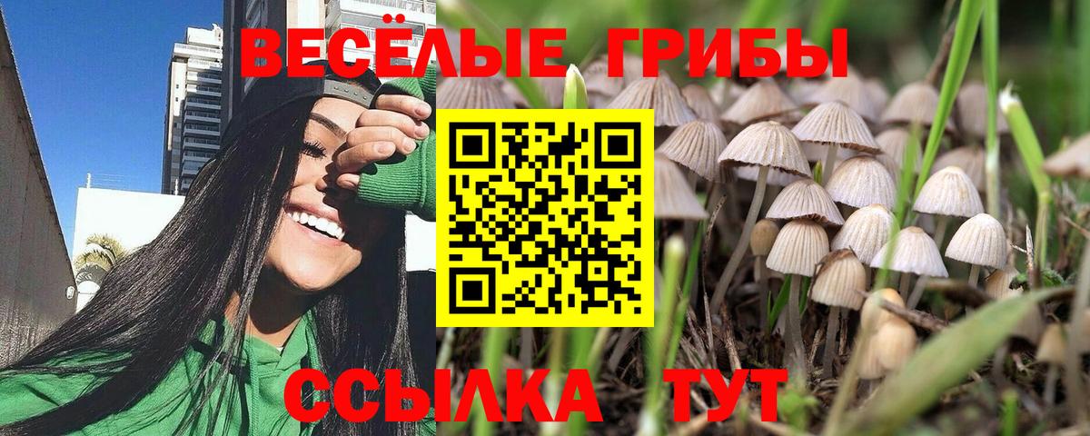 Галлюциногенные грибы прущие грибы Иваново